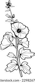 Ilustración del Hollyhock de vectores en blanco y negro