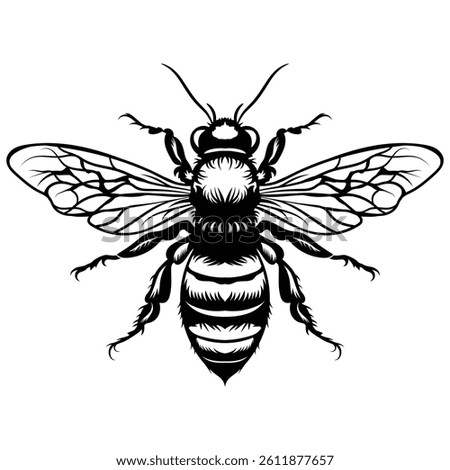 A black and white vector honey bee in engraving style on white background
This artwork is a high-quality black and white vector illustration of a bee. The design showcases the bee in full symmetry wit