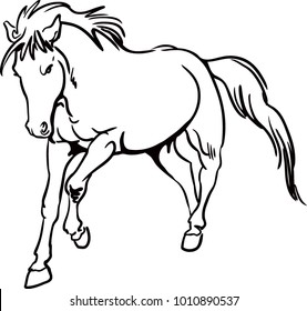 black and white vector horse