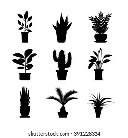 Black and white vector house plants and flowers in pots icons. Silhouette isolated on white background. 