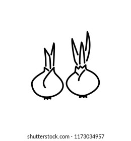 Black & white vector illustration of 2 flower bulbs with leaves and small roots. Floral seeds of home plants. Line icon of bulbils for garden & house. Isolated object on white background.