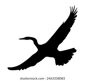 Black and white vector illustration of African Darter.