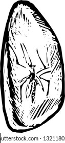 Black and white vector illustration of an amber fossil