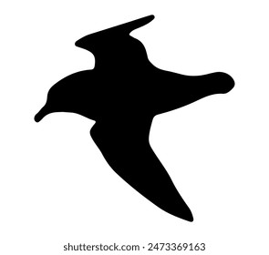 Ilustración vectorial en blanco y negro de Petrel Antártico.