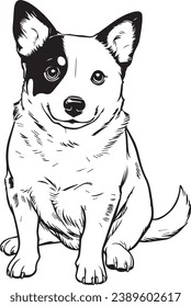 Black and white vector illustration of an Australian Cattle Dog puppy
