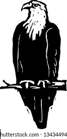 Black and white vector illustration of a bald eagle