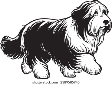 Black and white vector illustration of a Bearded Collie dog sitting