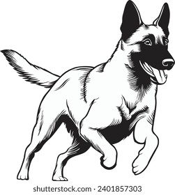 Black and White Vector illustration of a Belgian Malinois Dog