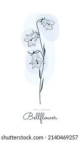 Black and white vector illustration of a bellflower outline.Botanical drawing of flowers for design.