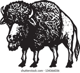Black and white vector illustration of Bison or Buffalo