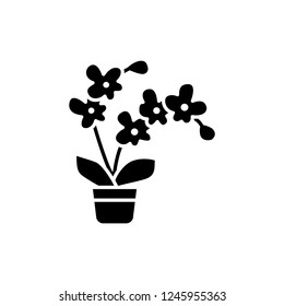 Black & white vector illustration of blooming orchid with flowers & leaves in pot. Flat icon of decorative exotic home plant in container. Isolated object on white background