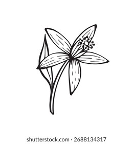 Ilustración vectorial en blanco y negro de una flor floreciente con hoja en estilo de arte de línea elegante. Perfecto para el diseño botánico, bocetos de tatuajes, empaques, logotipos y proyectos decorativos.