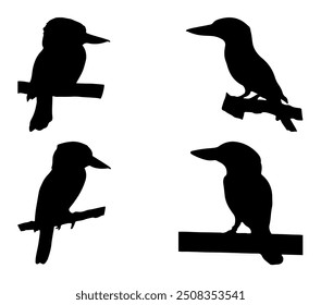 Black and white vector illustration of Blue-winged Kookaburra.