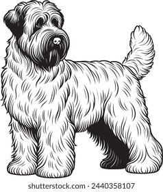 Schwarz-Weiß-Vektor-Illustration eines Bouvier des Flandres Hund