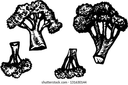 Black and white vector illustration of broccoli