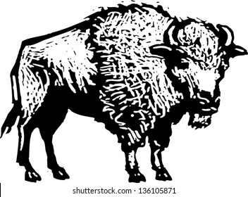 Black White Vector Illustration Buffalo Stock Vector (royalty Free 