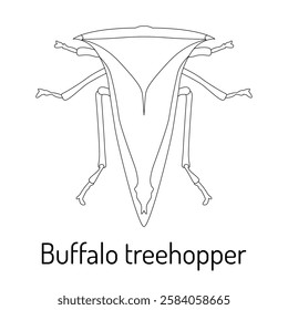 Black and white vector illustration of a buffalo treehopper insect. Scientific entomology drawing of Stictocephala bisonia. Perfect for educational, biological, and zoological projects.