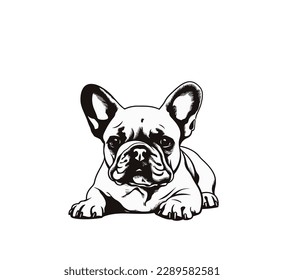 Black and white vector illustration of bulldog puppy isolated on white background