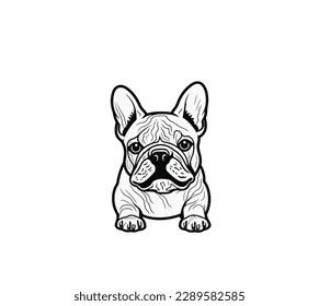 Black and white vector illustration of bulldog puppy isolated on white background