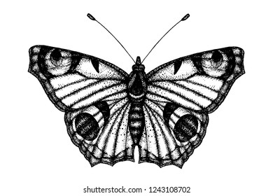 Black White Vector Illustration Butterfly Hand Stock Vector (Royalty ...