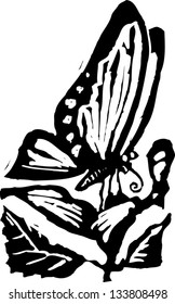 Black and white vector illustration of a butterfly