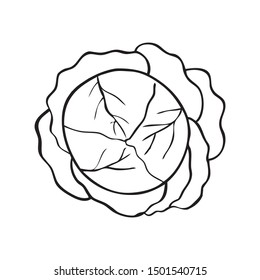 Black And White Vector Illustration Of Cabbage