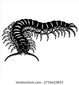 Ilustración vectorial en blanco y negro de un ciempiés, mostrando su cuerpo segmentado y numerosas patas. Silueta gráfica de un artrópodo arrastrándose sobre fondo blanco.