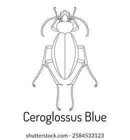 Black and white vector illustration of Ceroglossus Blue beetle. Detailed insect outline for coloring books, scientific studies, entomology projects, and decorative designs.