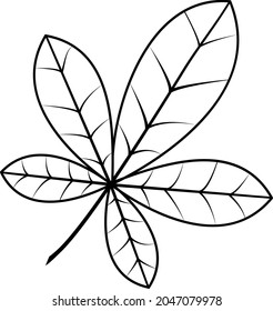 Ilustración vectorial en blanco y negro de una hoja de castaño. Ilustración de otoño.Una idea para un logo, ilustraciones de moda, revistas, impresión en ropa, publicidad, libros de coloreo, un sketch de tatuajes.