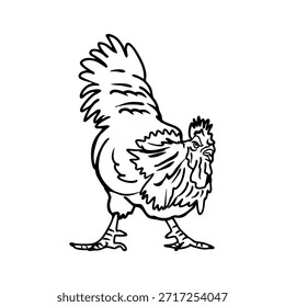 Ilustración vectorial de pollo en blanco y negro. Perfecto para ilustraciones de granja, materiales educativos, logotipos o proyectos de diseño. Vector editable con fondo aislado, conveniente para el Uso comercial.