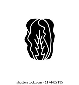 Black & White Vector Illustration Of Chinese Cabbage. Leaf Vegetable. Flat Icon Of Fresh Organic Napa Cabbage. Vegan & Vegetarian Food. Isolated Object On White Background. Bok Choy.
