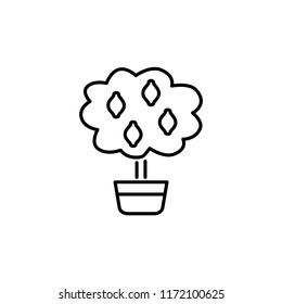 Black & white vector illustration of citrus tree with leaves & lemons in pot. Decorative home plant in container. Line icon of indoor mini tree. Isolated object on white background.