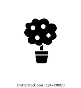 Black & white vector illustration of citrus tree with leaves & oranges in pot. Decorative home plant in container. Flat icon of indoor mini tree. Isolated object on white background