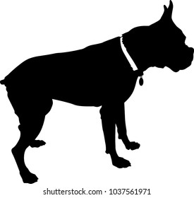 Black and white vector illustration of a clipped-ear boxer breed dog with a collar and tag, in profile against a white background.