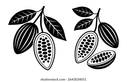 Black and white vector illustration of cocoa pods and leaves
