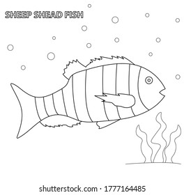Ilustración vectorial en blanco y negro para el libro de colorear. Caricatura de ovejas ovejas y peces.