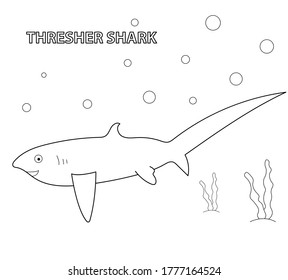 Black and white vector illustration for coloring book. Cartoon thresher shark. Underwater world.