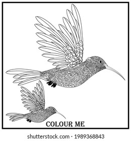 Black and white vector illustration. Coloring book for adults and children.