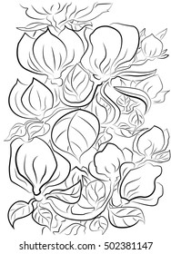 Black and white vector illustration for coloring. The flowers of magnolia. It can be used for coloring books for children and adults, It is nice for relaxation