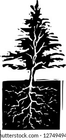 Black and white vector illustration of coniferous tree