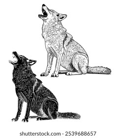 Black and white vector illustration coyote howling