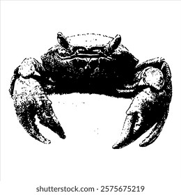 black and white vector illustration of a crab with realistic details and textures, emphasizing its claws and shell. perfect for marine-themed projects or seafood branding