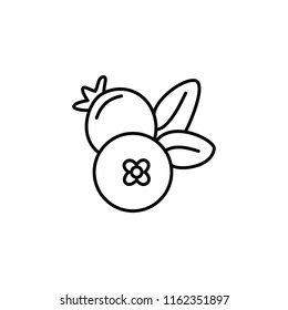 Black & white vector illustration of cranberry. Line icon of fresh berries. Vegan & vegetarian food. Health eating fruit ingredient. Isolated object on white background. 