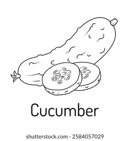 Black and white vector illustration of a cucumber with slices. Hand-drawn outline sketch, perfect for food-related designs, recipes, packaging, coloring books, and educational materials.