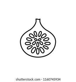 Black & white vector illustration of cut fig fruit with seeds. Line icon of fresh anjeer. Vegan & vegetarian food. Health eating ingredient. Isolated object on white background. Front view.
