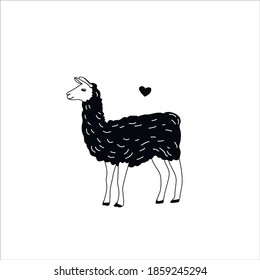 Black and white vector illustration of a cute llama character of South America. Isolated outline cartoon llama, alpaca. 