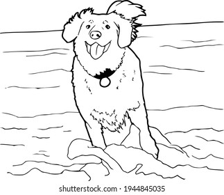 Ilustración vectorial en blanco y negro de un perro jugando en el mar.