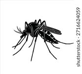 Black and white vector illustration drawing of a mosquito. Insect pest vector image. Mosquito on white background.