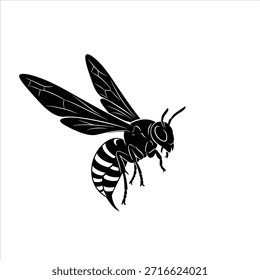 Dibujo de Ilustración vectorial en blanco y negro de una avispa voladora. Imagen de Vector Hornet. Insecto en vuelo sobre fondo blanco.