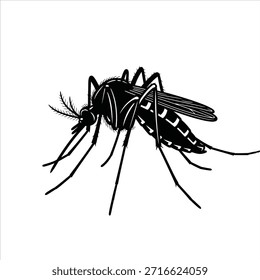 Dibujo de Ilustración vectorial en blanco y negro de un mosquito. Imagen de Vector de plagas de insectos. Mosquito sobre fondo blanco.